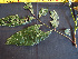  ( - K1354_C1)  @11 [ ] CreativeCommons - Attribution Non-Commercial Share-Alike (2019) Varun Swamy San Diego Zoo Global