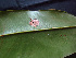  ( - K1353_B7)  @11 [ ] CreativeCommons - Attribution Non-Commercial Share-Alike (2019) Varun Swamy San Diego Zoo Global