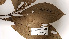  ( - K1353_A12)  @11 [ ] CreativeCommons - Attribution Non-Commercial Share-Alike (2019) Varun Swamy San Diego Zoo Global