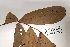  ( - K1353_D10)  @11 [ ] CreativeCommons - Attribution Non-Commercial Share-Alike (2019) Varun Swamy San Diego Zoo Global