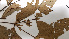  ( - K1353_F11)  @11 [ ] CreativeCommons - Attribution Non-Commercial Share-Alike (2019) Varun Swamy San Diego Zoo Global