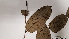  ( - K1353_E9)  @11 [ ] CreativeCommons - Attribution Non-Commercial Share-Alike (2019) Varun Swamy San Diego Zoo Global