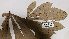  ( - K1354_C9)  @11 [ ] CreativeCommons - Attribution Non-Commercial Share-Alike (2019) Varun Swamy San Diego Zoo Global