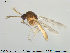  ( - TRD-Cer101)  @12 [ ] CreativeCommons - Attribution Non-Commercial Share-Alike (2014) NTNU University Museum, Department of Natural History NTNU University Museum, Department of Natural History