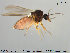  ( - TRD-Cer110)  @13 [ ] CreativeCommons - Attribution Non-Commercial Share-Alike (2014) NTNU University Museum, Department of Natural History NTNU University Museum, Department of Natural History