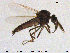  ( - TRD-Cer129)  @13 [ ] CreativeCommons - Attribution Non-Commercial Share-Alike (2015) NTNU University Museum, Department of Natural History NTNU University Museum, Department of Natural History