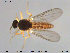  ( - TRD-Cer147)  @12 [ ] CreativeCommons - Attribution Non-Commercial Share-Alike (2015) NTNU University Museum, Department of Natural History NTNU University Museum, Department of Natural History
