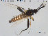  ( - TRD-Cer149)  @11 [ ] CreativeCommons - Attribution Non-Commercial Share-Alike (2015) NTNU University Museum, Department of Natural History NTNU University Museum, Department of Natural History