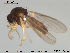  ( - TRD-Cer174)  @13 [ ] CreativeCommons - Attribution Non-Commercial Share-Alike (2015) NTNU University Museum, Department of Natural History NTNU University Museum, Department of Natural History