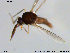  ( - TRD-Cer18)  @12 [ ] CreativeCommons - Attribution Non-Commercial Share-Alike (2014) NTNU University Museum, Department of Natural History NTNU University Museum, Department of Natural History