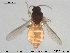  ( - TRD-Cer188)  @12 [ ] CreativeCommons - Attribution Non-Commercial Share-Alike (2015) NTNU University Museum, Department of Natural History NTNU University Museum, Department of Natural History