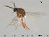  ( - TRD-Cer191)  @12 [ ] CreativeCommons - Attribution Non-Commercial Share-Alike (2015) NTNU University Museum, Department of Natural History NTNU University Museum, Department of Natural History