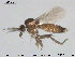  ( - TRD-Cer192)  @13 [ ] CreativeCommons - Attribution Non-Commercial Share-Alike (2015) NTNU University Museum, Department of Natural History NTNU University Museum, Department of Natural History