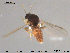  ( - TRD-Cer194)  @13 [ ] CreativeCommons - Attribution Non-Commercial Share-Alike (2015) NTNU University Museum, Department of Natural History NTNU University Museum, Department of Natural History
