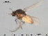  ( - TRD-Cer195)  @13 [ ] CreativeCommons - Attribution Non-Commercial Share-Alike (2015) NTNU University Museum, Department of Natural History NTNU University Museum, Department of Natural History