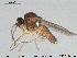  ( - TRD-Cer201)  @13 [ ] CreativeCommons - Attribution Non-Commercial Share-Alike (2015) NTNU University Museum, Department of Natural History NTNU University Museum, Department of Natural History