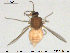 ( - TRD-Cer202)  @12 [ ] CreativeCommons - Attribution Non-Commercial Share-Alike (2015) NTNU University Museum, Department of Natural History NTNU University Museum, Department of Natural History