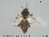  ( - TRD-Cer207)  @13 [ ] CreativeCommons - Attribution Non-Commercial Share-Alike (2015) NTNU University Museum, Department of Natural History NTNU University Museum, Department of Natural History