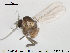  ( - TRD-Cer210)  @12 [ ] CreativeCommons - Attribution Non-Commercial Share-Alike (2015) NTNU University Museum, Department of Natural History NTNU University Museum, Department of Natural History