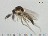  ( - TRD-Cer211)  @12 [ ] CreativeCommons - Attribution Non-Commercial Share-Alike (2015) NTNU University Museum, Department of Natural History NTNU University Museum, Department of Natural History