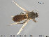  ( - TRD-Cer220)  @14 [ ] CreativeCommons - Attribution Non-Commercial Share-Alike (2015) NTNU University Museum, Department of Natural History NTNU University Museum, Department of Natural History