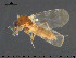 ( - TRD-Cer224)  @13 [ ] CreativeCommons - Attribution Non-Commercial Share-Alike (2015) NTNU University Museum, Department of Natural History NTNU University Museum, Department of Natural History