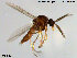  ( - TRD-Cer23)  @13 [ ] CreativeCommons - Attribution Non-Commercial Share-Alike (2014) NTNU University Museum, Department of Natural History NTNU University Museum, Department of Natural History