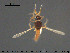  ( - TRD-Cer277)  @11 [ ] CreativeCommons - Attribution Non-Commercial Share-Alike (2015) NTNU University Museum, Department of Natural History NTNU University Museum, Department of Natural History