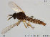  ( - TRD-Cer28)  @13 [ ] CreativeCommons - Attribution Non-Commercial Share-Alike (2014) NTNU University Museum, Department of Natural History NTNU University Museum, Department of Natural History