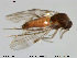 ( - TRD-Cer37)  @11 [ ] CreativeCommons - Attribution Non-Commercial Share-Alike (2014) NTNU University Museum, Department of Natural History NTNU University Museum, Department of Natural History