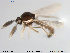  ( - TRD-Cer41)  @12 [ ] CreativeCommons - Attribution Non-Commercial Share-Alike (2014) NTNU University Museum, Department of Natural History NTNU University Museum, Department of Natural History