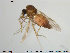  ( - TRD-Cer68)  @11 [ ] CreativeCommons - Attribution Non-Commercial Share-Alike (2014) NTNU University Museum, Department of Natural History NTNU University Museum, Department of Natural History
