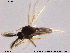  ( - TRD-Cer7)  @13 [ ] CreativeCommons - Attribution Non-Commercial Share-Alike (2014) NTNU University Museum, Department of Natural History NTNU University Museum, Department of Natural History