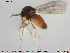  ( - TRD-Cer80)  @13 [ ] CreativeCommons - Attribution Non-Commercial Share-Alike (2014) NTNU University Museum, Department of Natural History NTNU University Museum, Department of Natural History