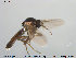  ( - TRD-Cer91)  @13 [ ] CreativeCommons - Attribution Non-Commercial Share-Alike (2014) NTNU University Museum, Department of Natural History NTNU University Museum, Department of Natural History