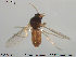  ( - TRD-Cer95)  @13 [ ] CreativeCommons - Attribution Non-Commercial Share-Alike (2014) NTNU University Museum, Department of Natural History NTNU University Museum, Department of Natural History