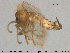  ( - TRD-Nem23)  @12 [ ] CreativeCommons - Attribution Non-Commercial Share-Alike (2015) NTNU University Museum, Department of Natural History NTNU University Museum, Department of Natural History