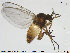  ( - TRD-Nem3)  @13 [ ] CreativeCommons - Attribution Non-Commercial Share-Alike (2014) NTNU University Museum, Department of Natural History NTNU University Museum, Department of Natural History