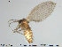  ( - TRD-Nem8)  @12 [ ] CreativeCommons - Attribution Non-Commercial Share-Alike (2014) NTNU University Museum, Department of Natural History NTNU University Museum, Department of Natural History