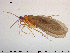 ( - TRD-TRI202)  @14 [ ] CreativeCommons - Attribution Non-Commercial Share-Alike (2015) NTNU University Museum, Department of Natural History NTNU University Museum, Department of Natural History