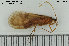  ( - TRD-TRI261)  @14 [ ] CreativeCommons - Attribution Non-Commercial Share-Alike (2015) NTNU University Museum, Department of Natural History NTNU University Museum, Department of Natural History
