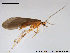  ( - TRD-TRI79)  @14 [ ] CreativeCommons - Attribution Non-Commercial Share-Alike (2014) NTNU University Museum, Department of Natural History NTNU University Museum, Department of Natural History