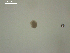 ( - A.BC.B09.E3f.2)  @12 [ ] Copyright (2010) Unspecified Environment Canada