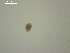  ( - A.BC.B09.E3f.3)  @13 [ ] Copyright (2010) Unspecified Environment Canada