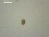  ( - A.BC.B09.E3f.4)  @12 [ ] Copyright (2010) Unspecified Environment Canada