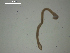  ( - Az.Sh.S08.El.2F.2)  @13 [ ] Copyright (2010) Unspecified Environment Canada