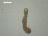  ( - Az.Sh.S08.El.2F.8)  @12 [ ] Copyright (2010) Unspecified Environment Canada