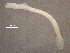  ( - Az.Sh.S08.El.3F.4)  @13 [ ] Copyright (2010) Unspecified Environment Canada