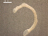  ( - Az.Sh.S08.El.3F.5)  @13 [ ] Copyright (2010) Unspecified Environment Canada