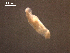  ( - D.IN.ELA8.La.1.3)  @13 [ ] Copyright (2010) Unspecified Environment Canada